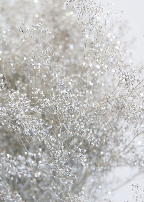 339a8bc560dd8907d48accc229048151